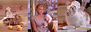 Amy Sedaris's Rabbit Rescue Amy Sedaris's Rabbit Rescue