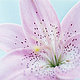 Fleura Fleura