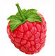 raspberry78 raspberry78
