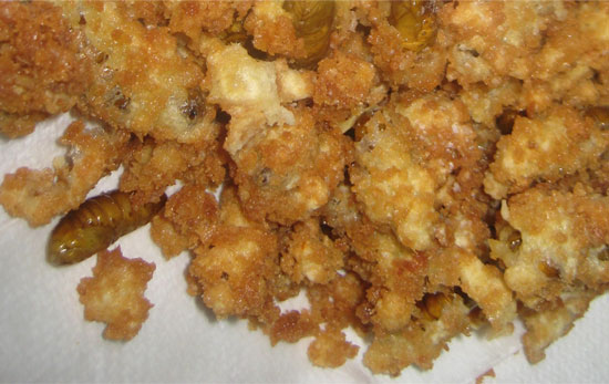 would you eat fried mealworms popsugar food would you eat fried mealworms popsugar food