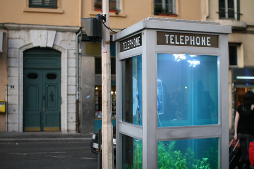 Image Image