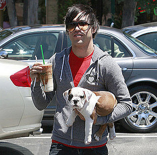 In the Spotlight: All Eyes on Rigby (and Pete Wentz)! In the Spotlight: All Eyes on Rigby (and Pete Wentz)!