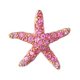 pinkystarfish91 pinkystarfish91