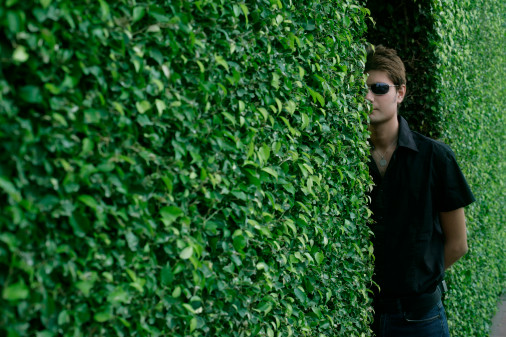 Peeping Toms Lurking