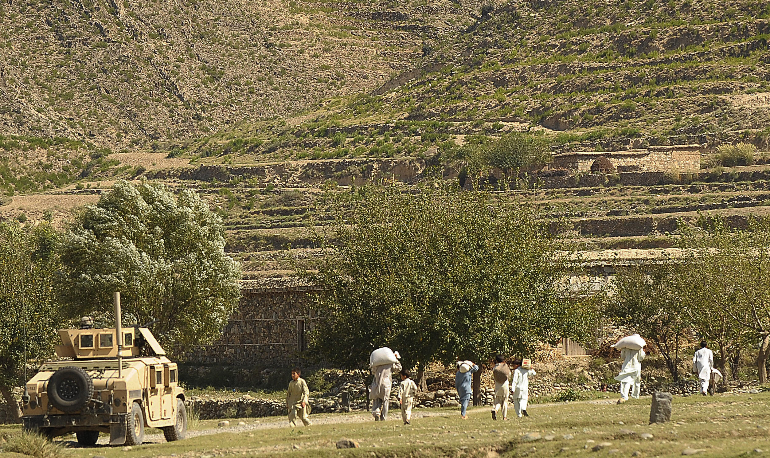 Image Image
