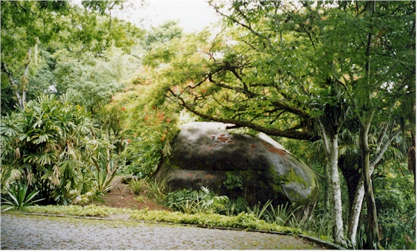 Image Image