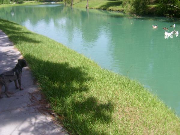 Image Image