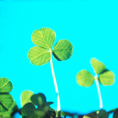 Do Tell: Do You Consider Yourself Lucky? Do Tell: Do You Consider Yourself Lucky?
