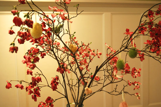 Image Image