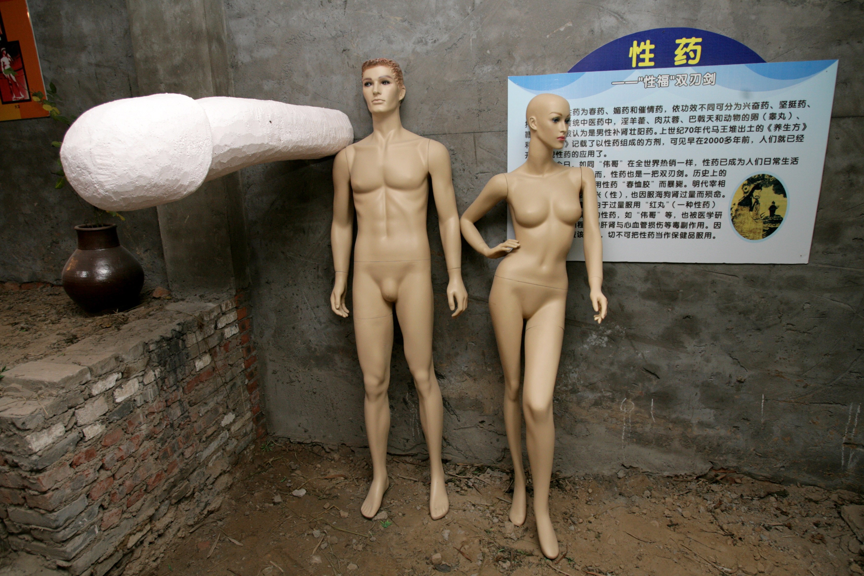 Image Image