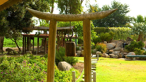 Image Image