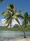 islandmama islandmama