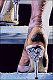 lexy539 lexy539