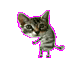 kat32 kat32