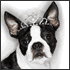 grace_08 grace_08
