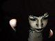 tat2edgirl tat2edgirl