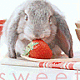 katy_baby katy_baby