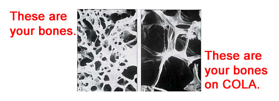 soda bone white slides