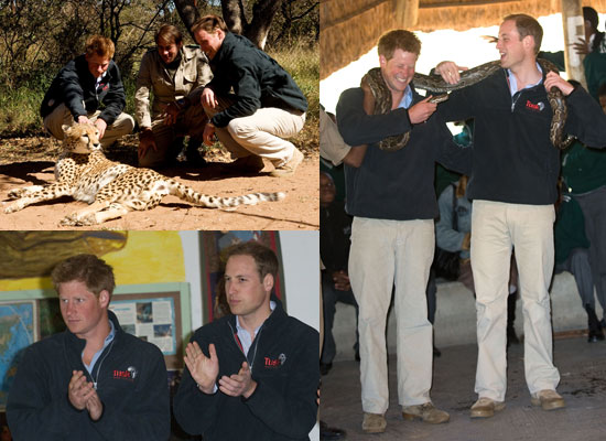 19a7749e044bc426_Pictures_of_Prince_William_and_Prince_Harry_in_Botswana_Africa.jpg