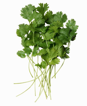 The Benefits Of Eating Cilantro Popsugar Fitness