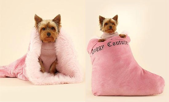 juicy couture dog