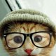 Beccak96 Beccak96