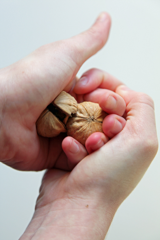 How to Crack Nuts Without a Nutcracker POPSUGAR Food