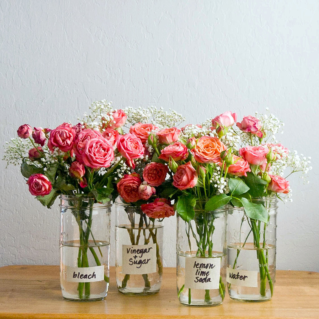 How to Make Flowers Last Longer POPSUGAR Smart Living