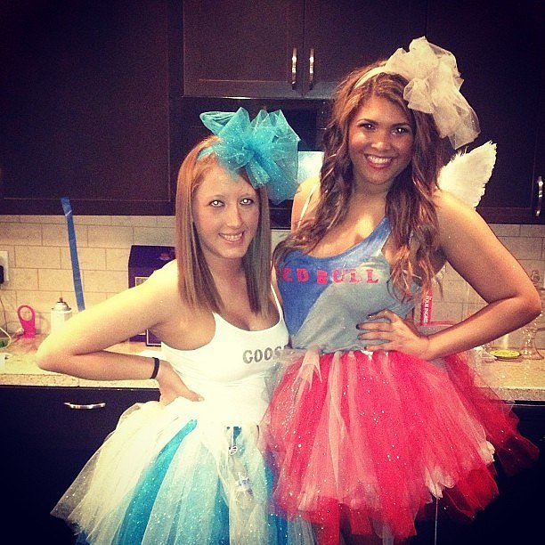Red Bull and Grey Goose Vodka | 59 Halloween Costumes Inspired by Your ...