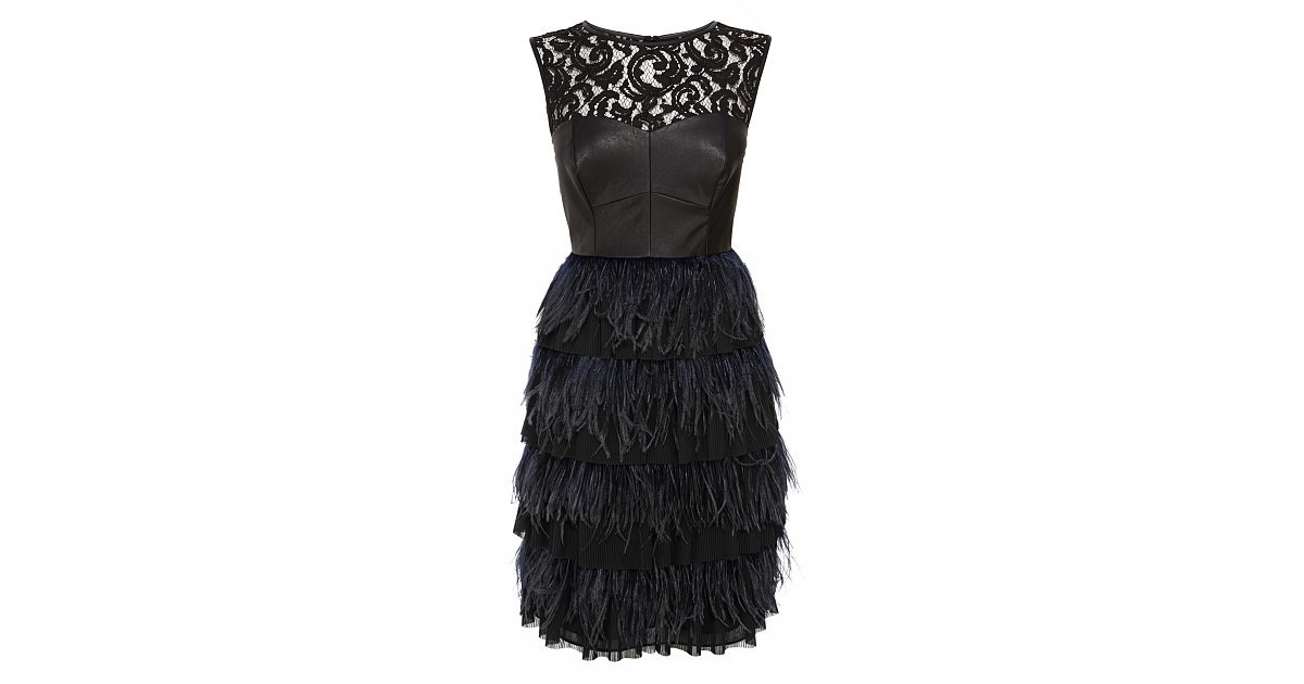 Coast Izzy Leather and Lace Feather Dress (£95, originally £250) | Are ...