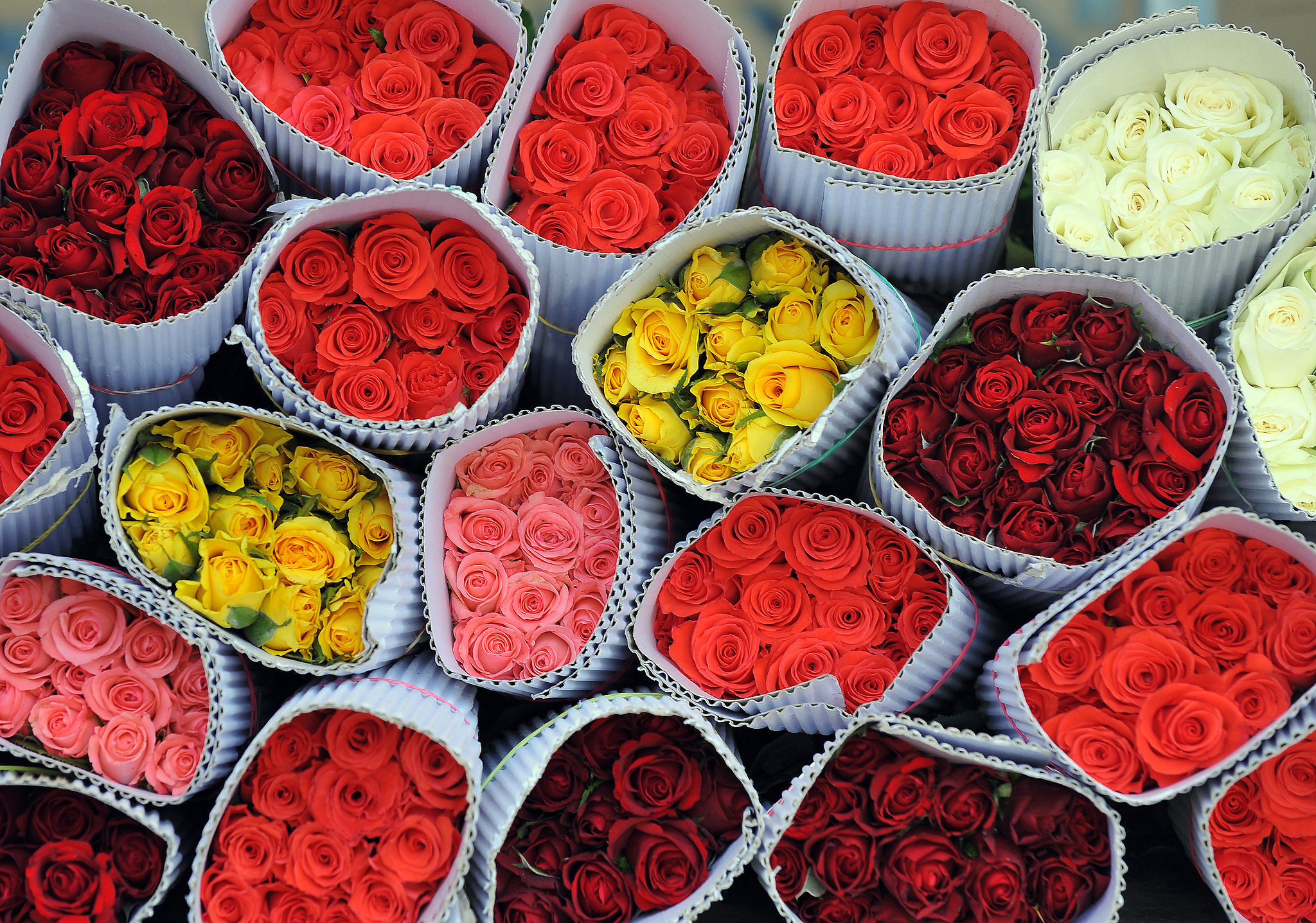 Meaning Of Roses What The Number Of Roses Means Popsugar Middle East Love