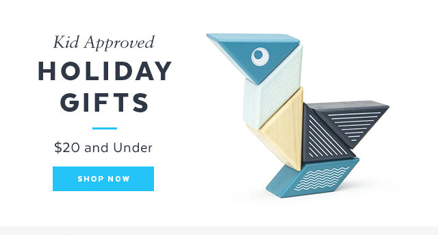 Kid-Approved Holiday Gifts — All \$20 and Under