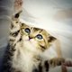 prettyeyes518