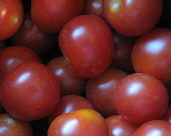 Jacques Pepin Recipe For Tomato And Bread Gratin 