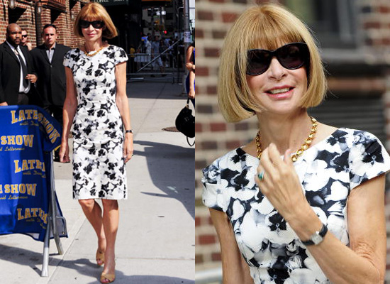 Anna Wintour, Carolina Herrera, Manolo Blahnik, Amy Fine Collins - Anna  Wintour and Carolina Herrera Photos - Zimbio