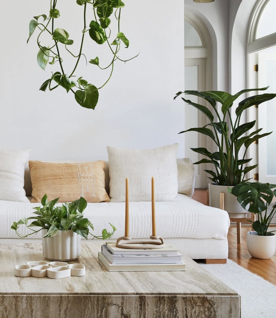 Best Indoor Plants For Bedrooms