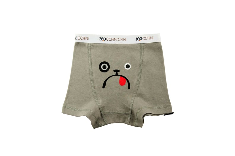 Zoocchini Organic Underwear