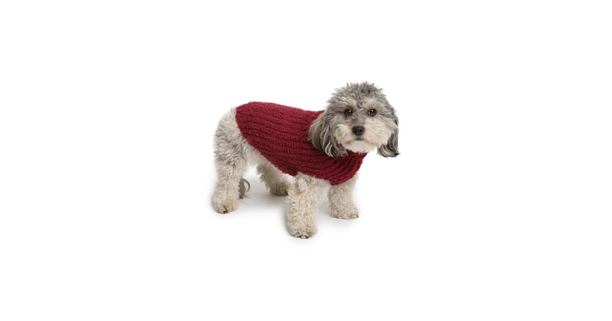 Barefoot Dreams CosyChic Ribbed Dog Sweater Best Dog Coats and