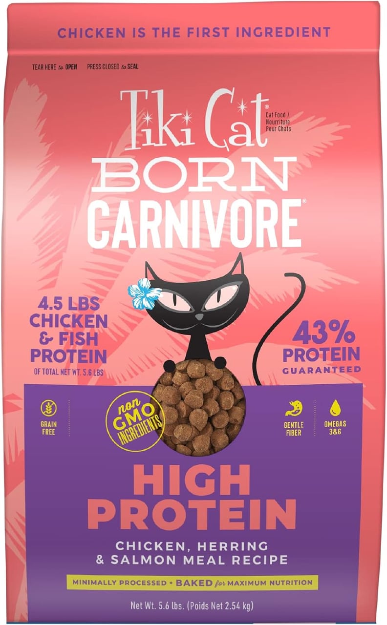 Best Dry Food