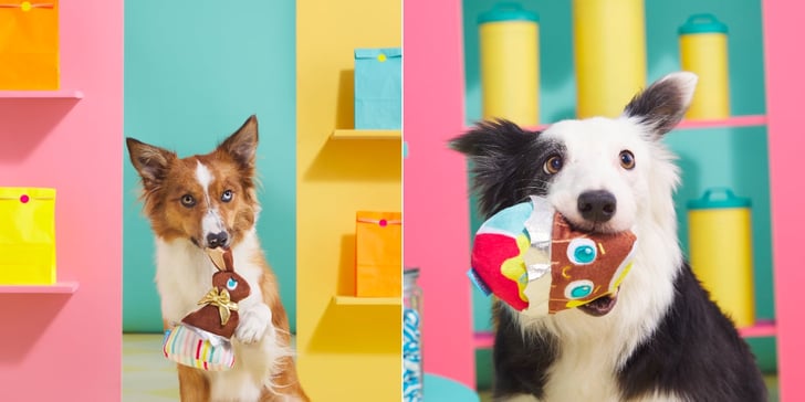 Best Treats And Toys For Dogs Popsugar Pets