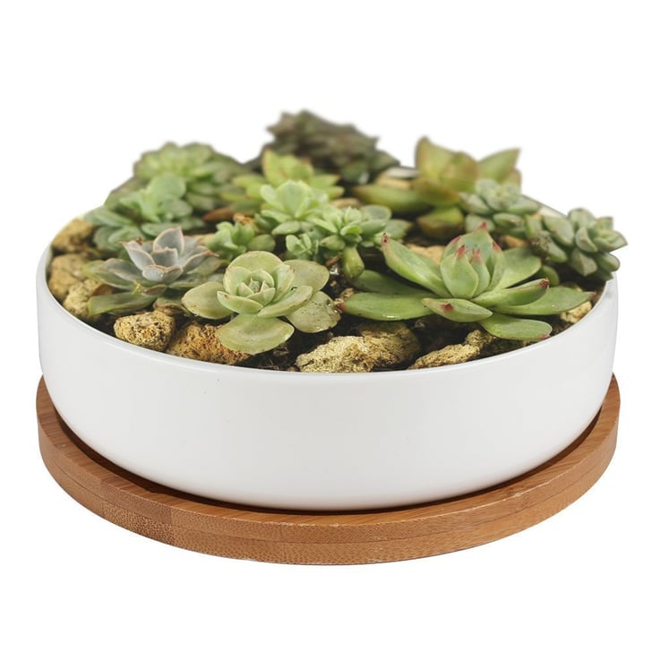 Succulent Planter Ceramic With Bamboo Tray (13) MidCentury Planters