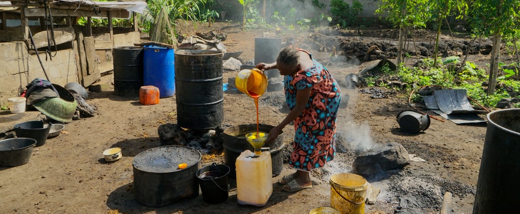 Palm Oil in Beauty Products: Dangers, Harm, and Alternatives