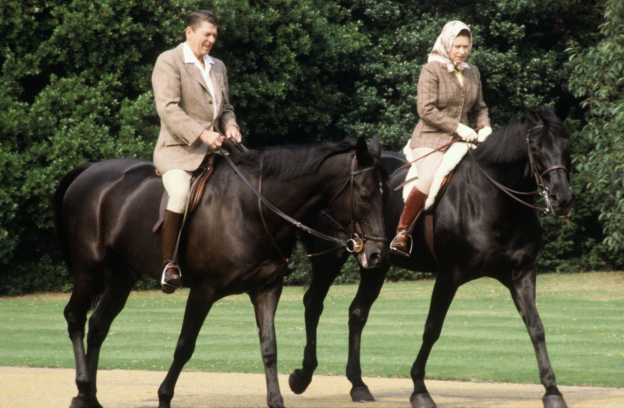 She's Obsessed With Horses | 12 Things You Might Not Know ...