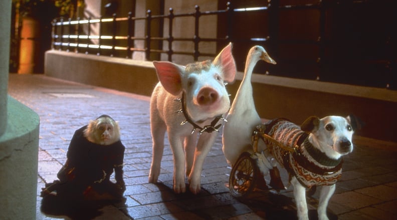 Babe: Pig in the City