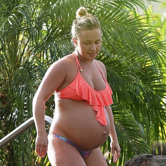 Hayden Panettiere Pregnant in a Bikini Pictures