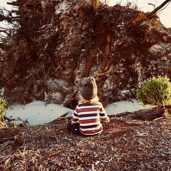 Hurricane Michael Personal Essay