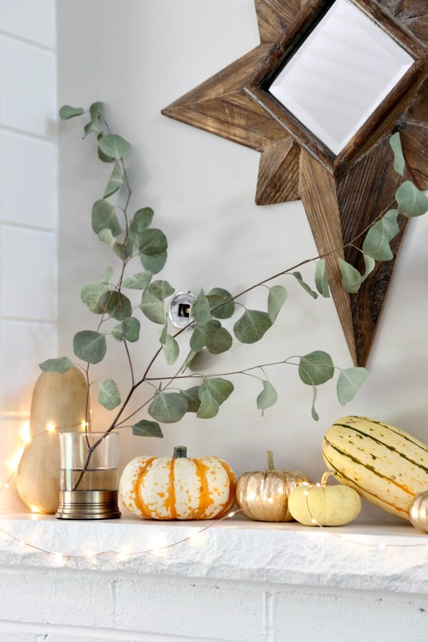 I grouped pumpkins and squash on the mantel on either side of the TV wall. They were a steal at Trader Joe’s and were left over from a Thanksgiving tablescape shoot. (It goes live mid-November.) That’s where the eucalyptus branch came from, too. I laced the mantel with these copper string lights. They are the best! The delicate LEDs put off a warm white glow and the copper wire can be easily manipulated. Unlike traditional string lights, they’re barely noticeable when not lit. I can see myself using these throughout the holiday season.