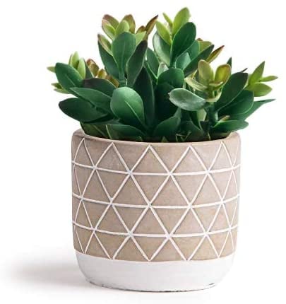 Kurrajong Farmhouse 7.5" x 4.5" Artificial Succulent Plant in Concrete Cement Pot