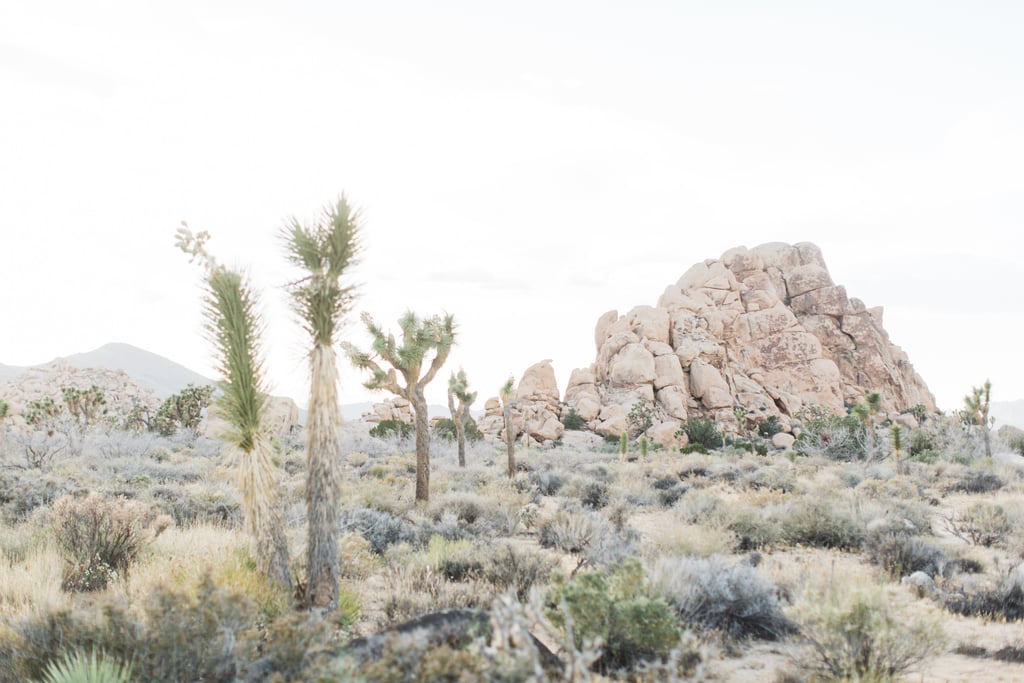 Mojave Desert Engagement Photos