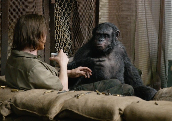 Some friendly ape-human interaction appears to be possible.